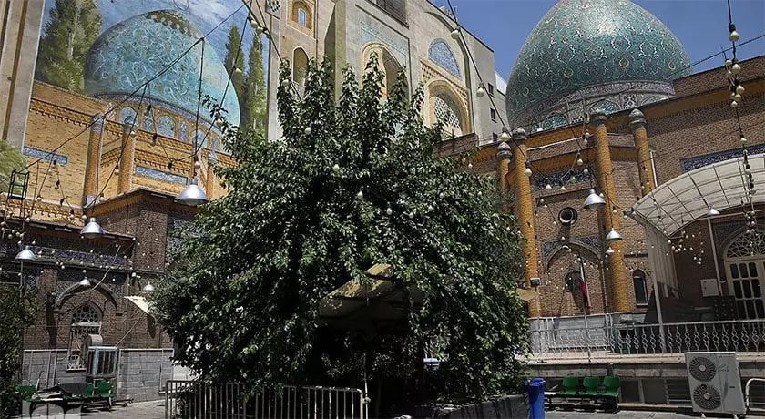 رزرو مسجد فخرالدوله