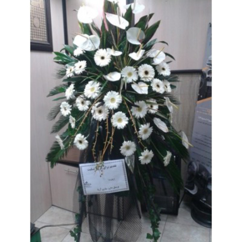 تاج گل رضوان شماره ۲